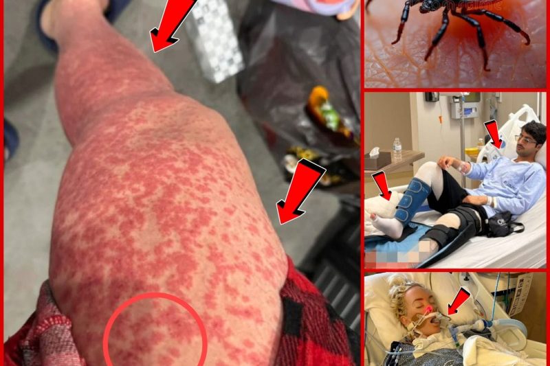 These are the consequences of sleeping with…See more