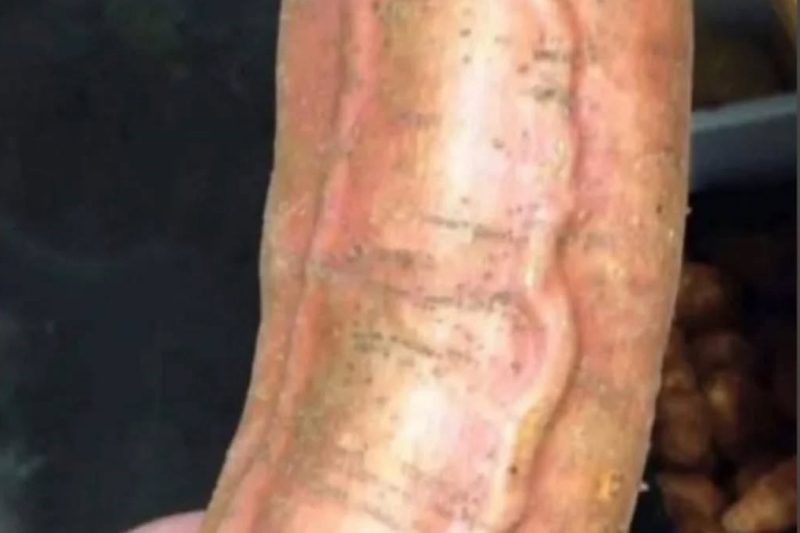 26 Pictures That Need A Second Look……….6