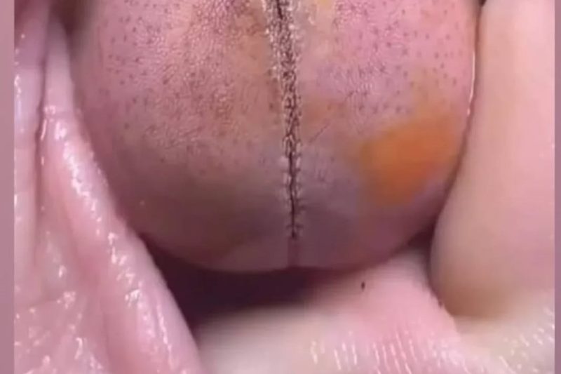 Don’t look if you can’t handle lt………….